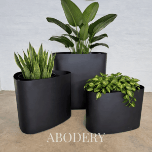 Vivus Planters on Wheels